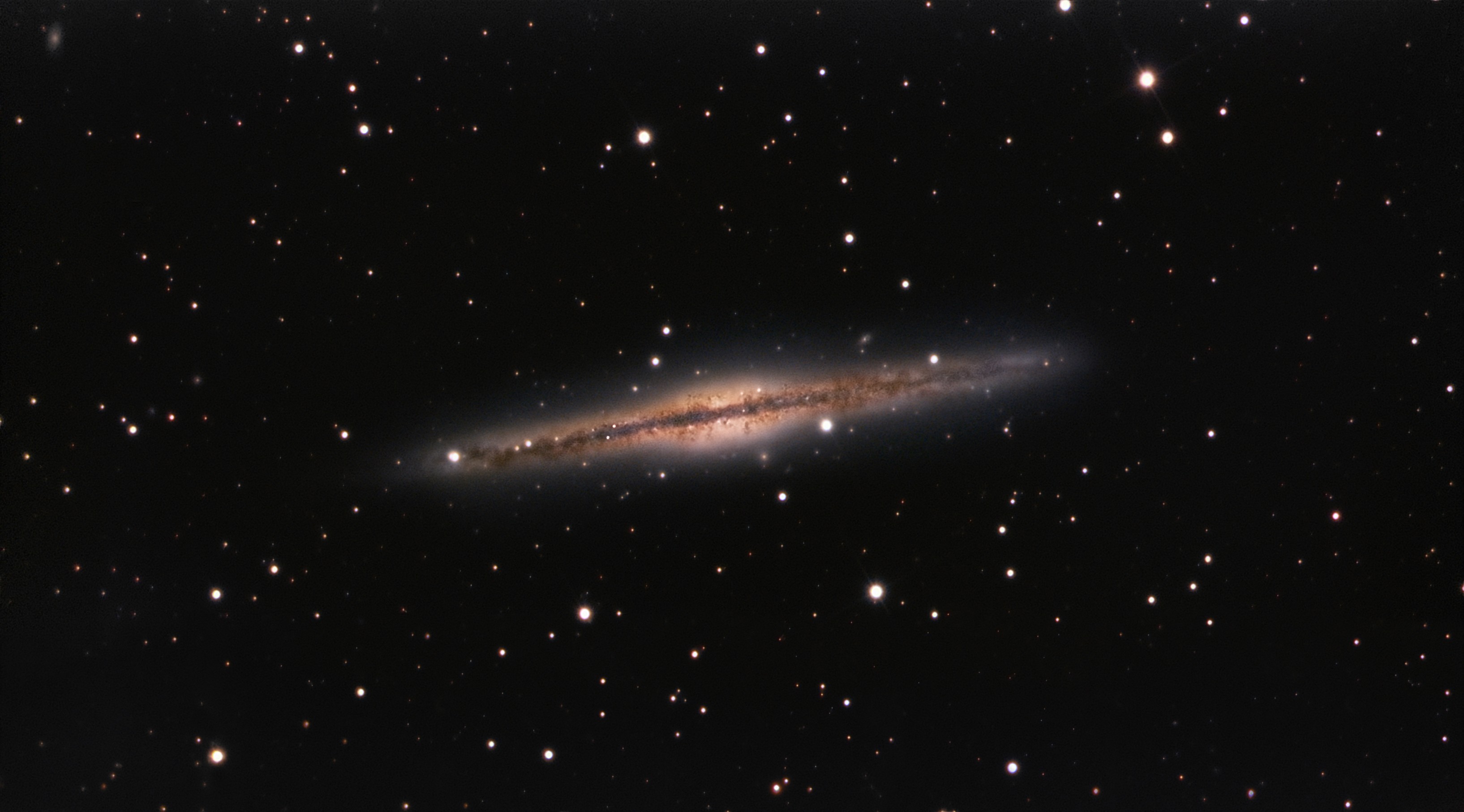 NGC 891 Spektrum der Wissenschaft